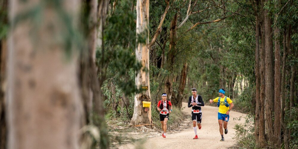2 2015 TNF 100 Australia de g à d Longfei Yan François D'Haene et Dylan Bowman photo Damien Rosso www.droz-photo.com