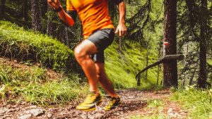 Structurer son entraînement trail : progresser toute l’année